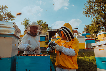 Image showing Beekeepers checking honey on the beehive frame in the field. Small business owners on apiary. Natural healthy food produceris working with bees and beehives on the apiary.