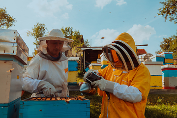 Image showing Beekeepers checking honey on the beehive frame in the field. Small business owners on apiary. Natural healthy food produceris working with bees and beehives on the apiary.