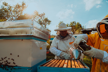 Image showing Beekeepers checking honey on the beehive frame in the field. Small business owners on apiary. Natural healthy food produceris working with bees and beehives on the apiary.