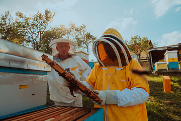 Image showing Beekeepers checking honey on the beehive frame in the field. Small business owners on apiary. Natural healthy food produceris working with bees and beehives on the apiary.