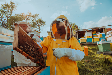 Image showing Beekeepers checking honey on the beehive frame in the field. Small business owners on apiary. Natural healthy food produceris working with bees and beehives on the apiary.