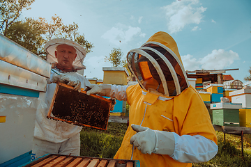 Image showing Beekeepers checking honey on the beehive frame in the field. Small business owners on apiary. Natural healthy food produceris working with bees and beehives on the apiary.