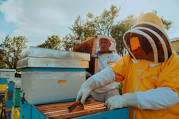 Image showing Beekeepers checking honey on the beehive frame in the field. Small business owners on apiary. Natural healthy food produceris working with bees and beehives on the apiary.