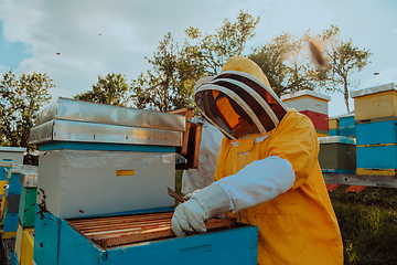 Image showing Beekeeper checking honey on the beehive frame in the field. Small business owner on apiary. Natural healthy food produceris working with bees and beehives on the apiary.