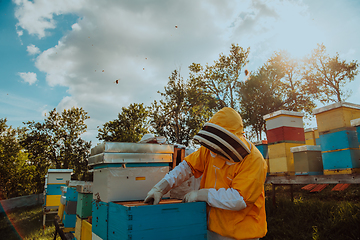 Image showing Beekeeper checking honey on the beehive frame in the field. Beekeeper on apiary. Beekeeper is working with bees and beehives on the apiary.