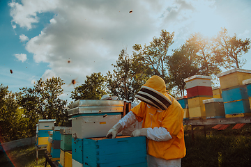 Image showing Beekeeper checking honey on the beehive frame in the field. Beekeeper on apiary. Beekeeper is working with bees and beehives on the apiary.