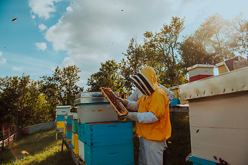 Image showing Beekeeper checking honey on the beehive frame in the field. Beekeeper on apiary. Beekeeper is working with bees and beehives on the apiary.