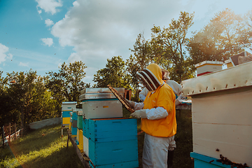 Image showing Beekeepers checking honey on the beehive frame in the field. Small business owners on apiary. Natural healthy food produceris working with bees and beehives on the apiary.