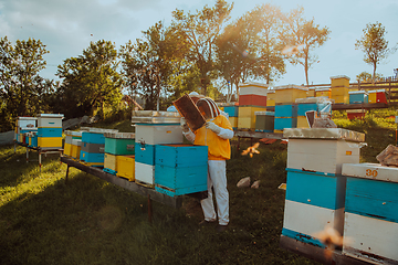 Image showing Beekeepers checking honey on the beehive frame in the field. Small business owners on apiary. Natural healthy food produceris working with bees and beehives on the apiary.