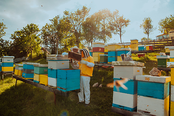 Image showing Beekeepers checking honey on the beehive frame in the field. Small business owners on apiary. Natural healthy food produceris working with bees and beehives on the apiary.