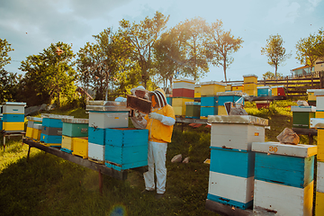 Image showing Beekeepers checking honey on the beehive frame in the field. Small business owners on apiary. Natural healthy food produceris working with bees and beehives on the apiary.