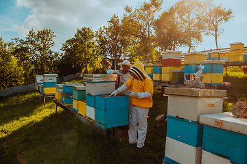 Image showing Beekeepers checking honey on the beehive frame in the field. Small business owners on apiary. Natural healthy food produceris working with bees and beehives on the apiary.