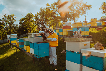 Image showing Beekeepers checking honey on the beehive frame in the field. Small business owners on apiary. Natural healthy food produceris working with bees and beehives on the apiary.