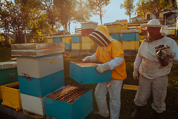 Image showing Beekeepers checking honey on the beehive frame in the field. Small business owners on apiary. Natural healthy food produceris working with bees and beehives on the apiary.