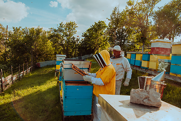 Image showing Beekeepers checking honey on the beehive frame in the field. Small business owners on apiary. Natural healthy food produceris working with bees and beehives on the apiary.