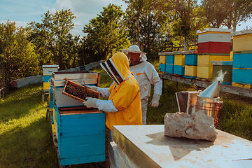 Image showing Beekeepers checking honey on the beehive frame in the field. Small business owners on apiary. Natural healthy food produceris working with bees and beehives on the apiary.