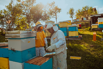 Image showing Beekeepers checking honey on the beehive frame in the field. Small business owners on apiary. Natural healthy food produceris working with bees and beehives on the apiary.