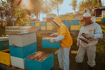 Image showing Beekeepers checking honey on the beehive frame in the field. Small business owners on apiary. Natural healthy food produceris working with bees and beehives on the apiary.