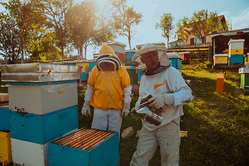 Image showing Beekeepers checking honey on the beehive frame in the field. Small business owners on apiary. Natural healthy food produceris working with bees and beehives on the apiary.