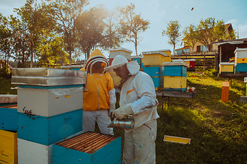 Image showing Beekeepers checking honey on the beehive frame in the field. Small business owners on apiary. Natural healthy food produceris working with bees and beehives on the apiary.