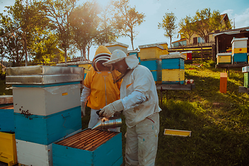 Image showing Beekeepers checking honey on the beehive frame in the field. Small business owners on apiary. Natural healthy food produceris working with bees and beehives on the apiary.