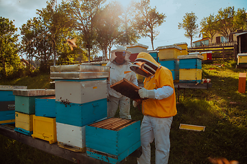 Image showing Beekeepers checking honey on the beehive frame in the field. Small business owners on apiary. Natural healthy food produceris working with bees and beehives on the apiary.