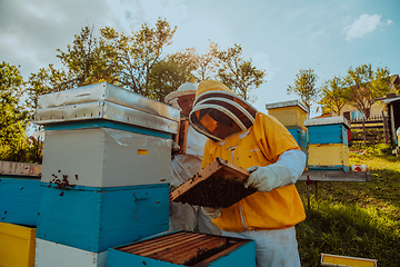 Image showing Beekeepers checking honey on the beehive frame in the field. Small business owners on apiary. Natural healthy food produceris working with bees and beehives on the apiary.