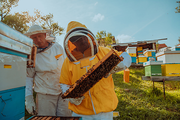 Image showing Beekeepers check the honey on the hive frame in the field. Beekeepers check honey quality and honey parasites. A beekeeper works with bees and beehives in an apiary.