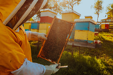 Image showing Beekeeper checking honey on the beehive frame in the field. Small business owner on apiary. Natural healthy food produceris working with bees and beehives on the apiary.