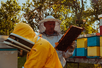 Image showing Beekeepers checking honey on the beehive frame in the field. Small business owners on apiary. Natural healthy food produceris working with bees and beehives on the apiary.