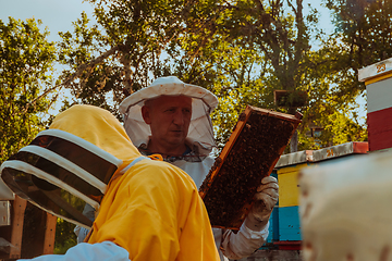 Image showing Beekeepers checking honey on the beehive frame in the field. Small business owners on apiary. Natural healthy food produceris working with bees and beehives on the apiary.