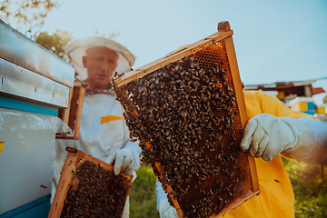 Image showing Beekeepers checking honey on the beehive frame in the field. Small business owners on apiary. Natural healthy food produceris working with bees and beehives on the apiary.