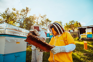 Image showing Beekeepers checking honey on the beehive frame in the field. Small business owners on apiary. Natural healthy food produceris working with bees and beehives on the apiary.