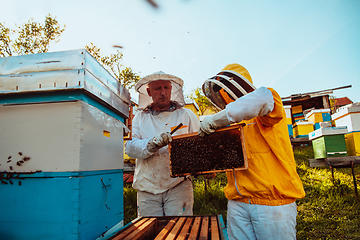 Image showing Beekeepers checking honey on the beehive frame in the field. Small business owners on apiary. Natural healthy food produceris working with bees and beehives on the apiary.