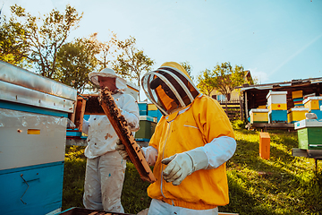 Image showing Beekeepers checking honey on the beehive frame in the field. Small business owners on apiary. Natural healthy food produceris working with bees and beehives on the apiary.