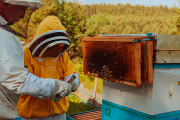 Image showing Beekeepers checking honey on the beehive frame in the field. Small business owners on apiary. Natural healthy food produceris working with bees and beehives on the apiary.