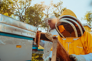 Image showing Beekeepers checking honey on the beehive frame in the field. Small business owners on apiary. Natural healthy food produceris working with bees and beehives on the apiary.