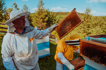 Image showing Beekeepers checking honey on the beehive frame in the field. Small business owners on apiary. Natural healthy food produceris working with bees and beehives on the apiary.