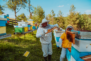 Image showing Beekeepers checking honey on the beehive frame in the field. Small business owners on apiary. Natural healthy food produceris working with bees and beehives on the apiary.