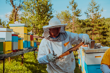 Image showing Beekeepers checking honey on the beehive frame in the field. Small business owners on apiary. Natural healthy food produceris working with bees and beehives on the apiary.