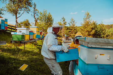 Image showing Beekeepers checking honey on the beehive frame in the field. Small business owners on apiary. Natural healthy food produceris working with bees and beehives on the apiary.