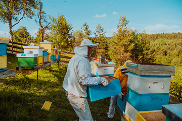 Image showing Beekeepers checking honey on the beehive frame in the field. Small business owners on apiary. Natural healthy food produceris working with bees and beehives on the apiary.