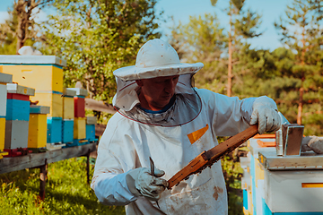 Image showing Beekeepers checking honey on the beehive frame in the field. Small business owners on apiary. Natural healthy food produceris working with bees and beehives on the apiary.