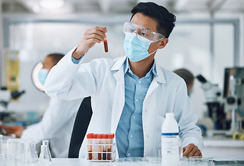 Image showing Test, blood sample and scientist doing research with face mask in a laboratory for medical analysis in a lab. Science, medicine and professional Asian man working on exam of DNA in a vial tube