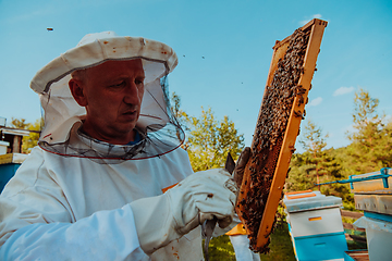 Image showing Beekeeper checking honey on the beehive frame in the field. Small business owner on apiary. Natural healthy food produceris working with bees and beehives on the apiary.