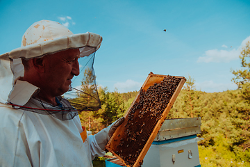 Image showing Beekeeper checking honey on the beehive frame in the field. Small business owner on apiary. Natural healthy food produceris working with bees and beehives on the apiary.