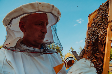 Image showing Beekeeper checking honey on the beehive frame in the field. Small business owner on apiary. Natural healthy food produceris working with bees and beehives on the apiary.