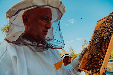 Image showing Beekeeper checking honey on the beehive frame in the field. Small business owner on apiary. Natural healthy food produceris working with bees and beehives on the apiary.