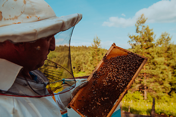 Image showing Beekeeper checking honey on the beehive frame in the field. Small business owner on apiary. Natural healthy food produceris working with bees and beehives on the apiary.