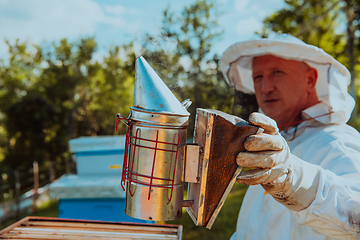 Image showing The beekeeper using smoke to calm the bees and begins to inspect the honey